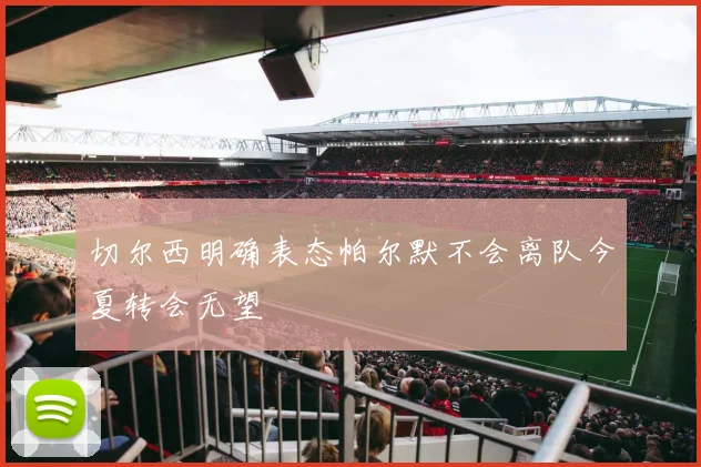 切尔西明确表态帕尔默不会离队今夏转会无望